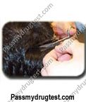 Home Hair Drug Test Kit